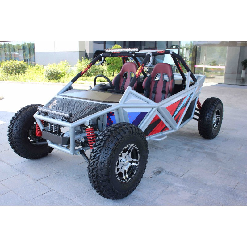 Electric-Buggy-Blitzworld-21KW-Lithium-800x800 (1)